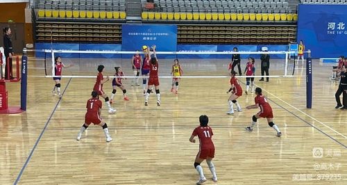 免费NBA直播在线观看网站 封面图