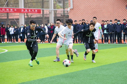 免费观看篮球比赛直播法国战巴西 封面图