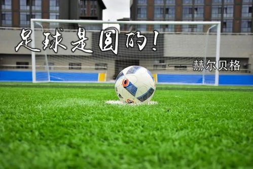 刘雪婷