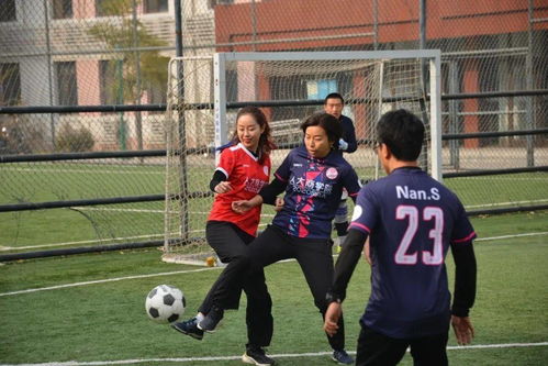 中超：奥斯卡制胜球 沧州雄狮1-0成都蓉城