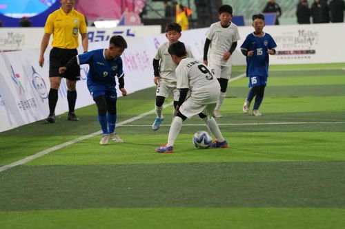 足球比赛免费直播app下载安装 现场画面